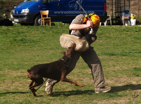 Training 4. 4. 2007